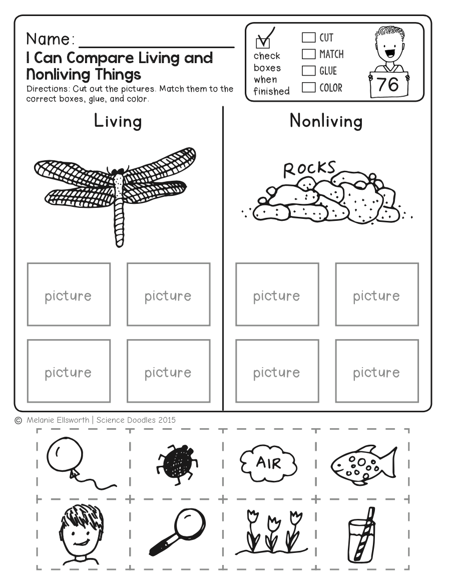Science Worksheets For Kindergarten Free Printables Worksheets Science Worksheets For Kindergarten Free Printables Worksheets