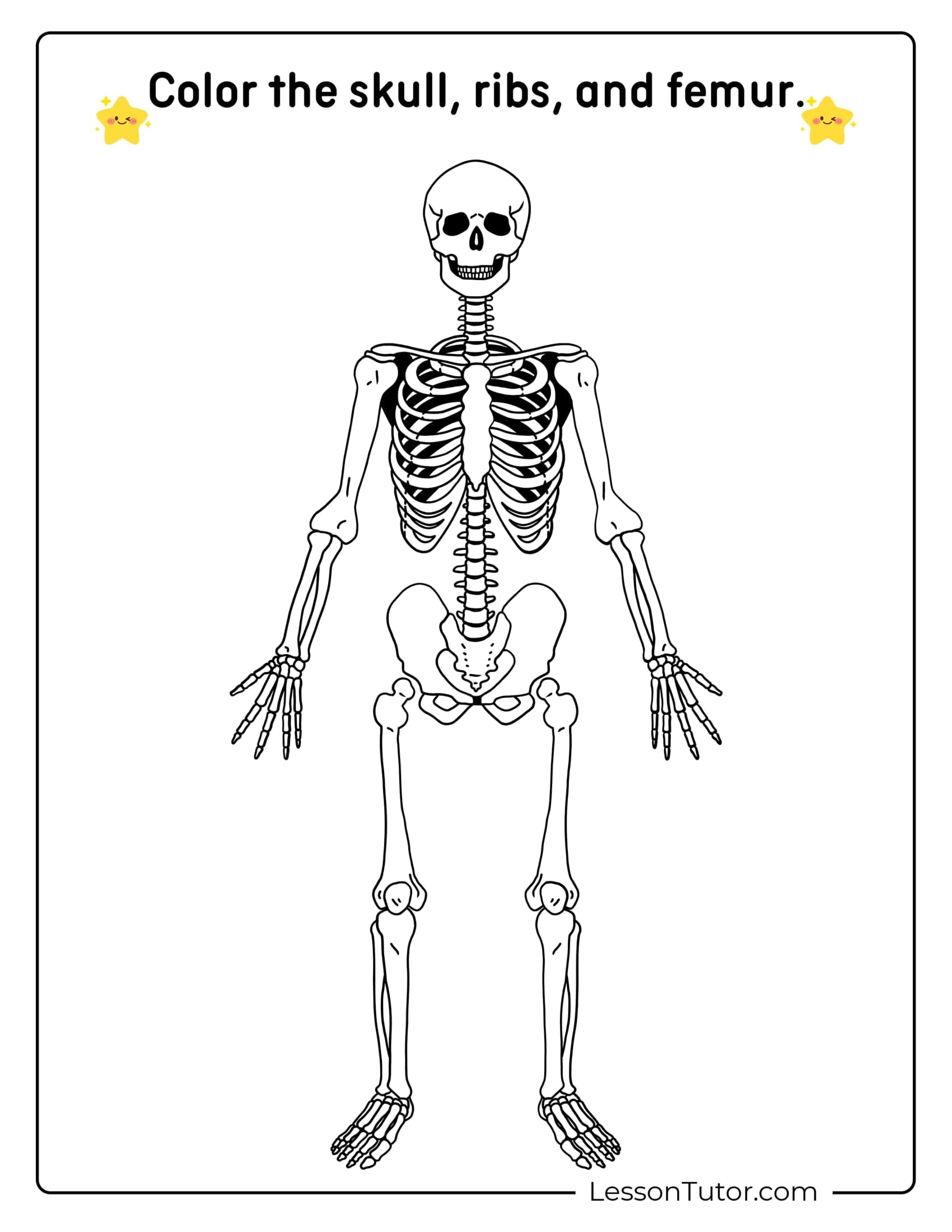 Skeleton System Worksheets Free Coloring Pages PDF Printables Skeleton System Worksheets Free Coloring Pages PDF Printables
