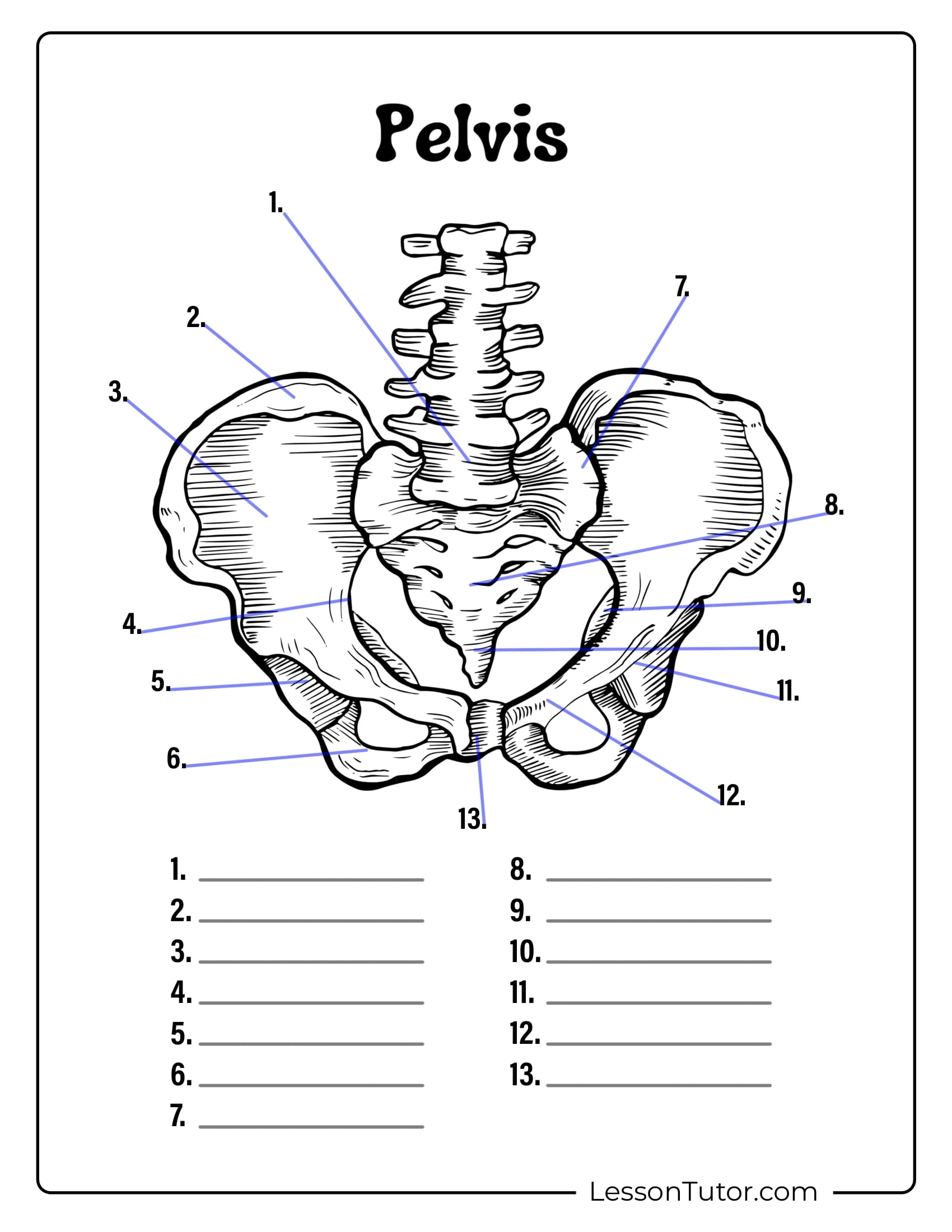 Skeleton System Worksheets Free Coloring Pages PDF Printables Skeleton System Worksheets Free Coloring Pages PDF Printables