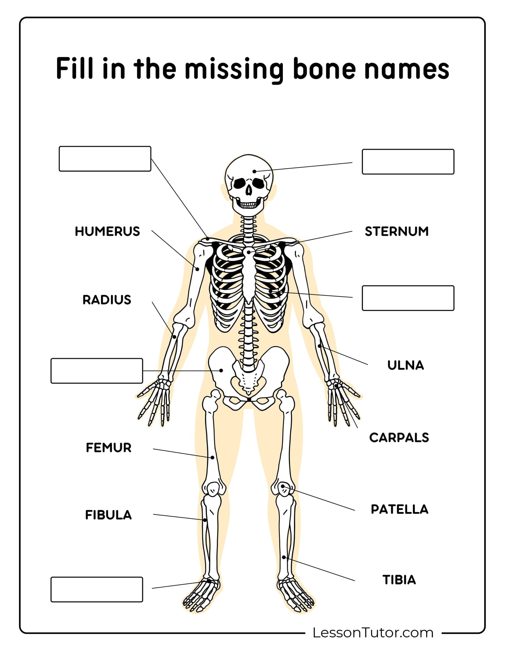 Skeleton System Worksheets Free Coloring Pages PDF Printables Skeleton System Worksheets Free Coloring Pages PDF Printables