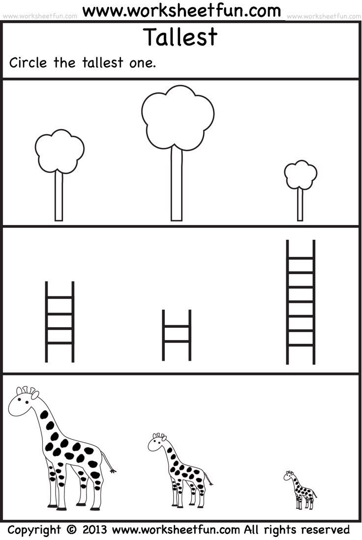 Tallest 2 Preschool Worksheets FREE Printable Worksheets Tallest 2 Preschool Worksheets FREE Printable Worksheets