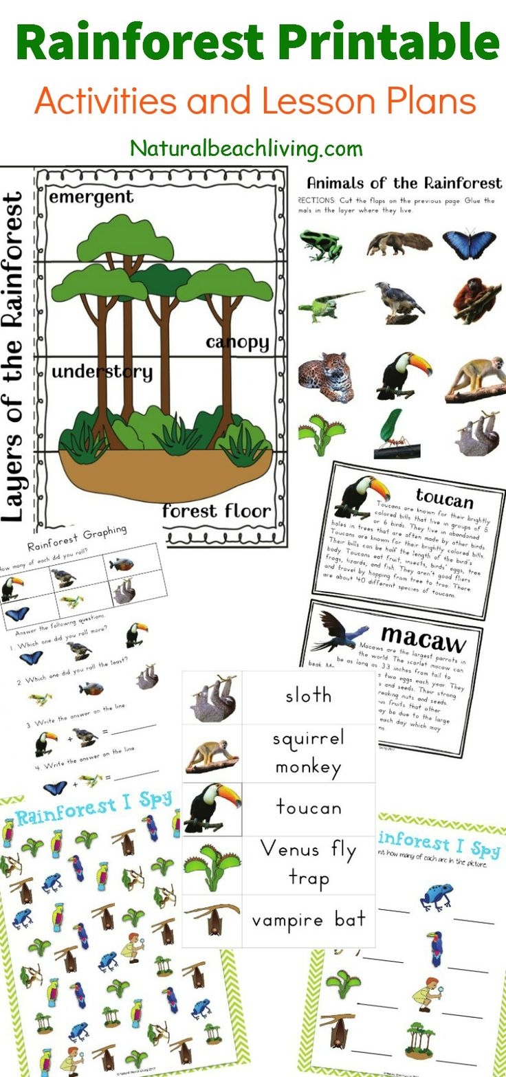 The Best Rainforest Printable Activities For Kids Natural Beach The Best Rainforest Printable Activities For Kids Natural Beach