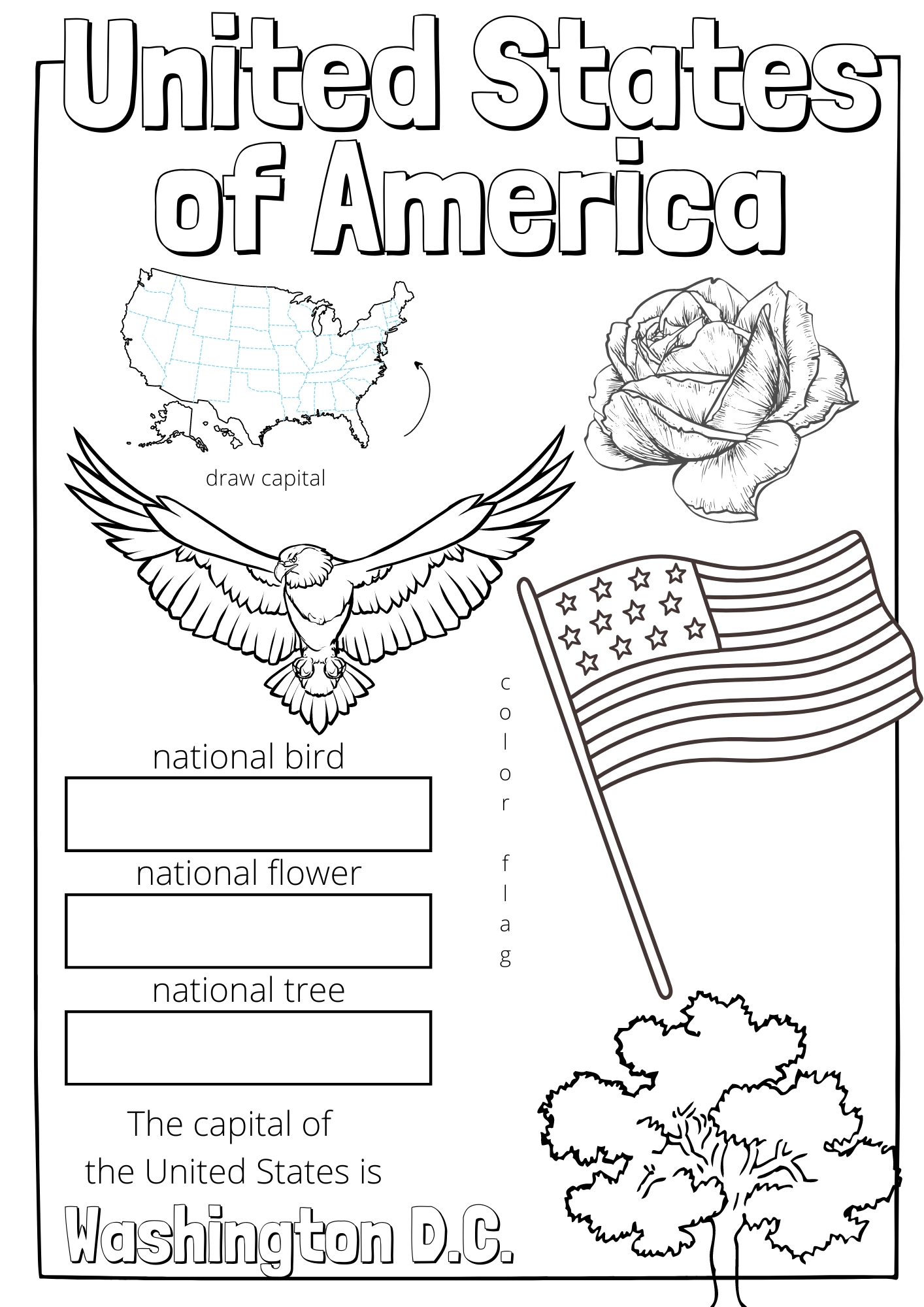 50 States Printable Worksheets 50 States Printable Worksheets