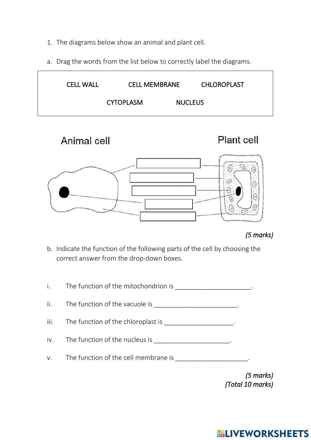 Free Printable 7th Grade Science Worksheets Free Printable 7th Grade Science Worksheets